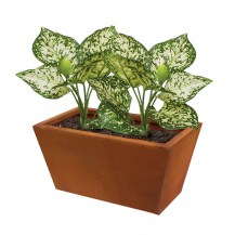 18482 - copa planter - with plants - 400x230x200